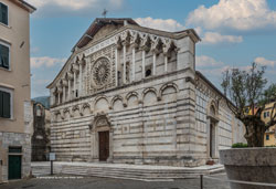  carrara